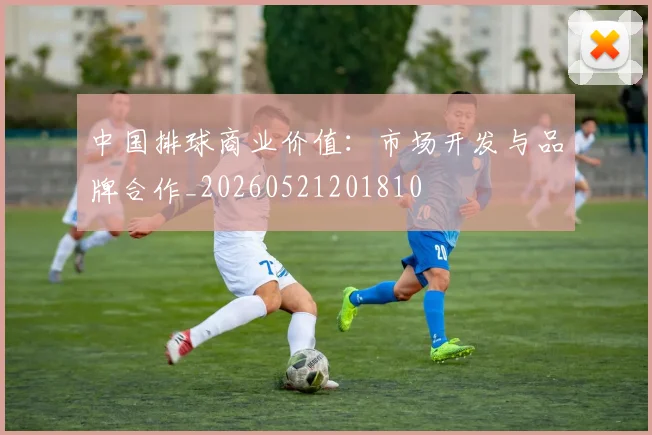 中国排球商业价值：市场开发与品牌合作_20260521201810